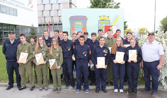 IMG 0251 FJLB Gold BFK GF