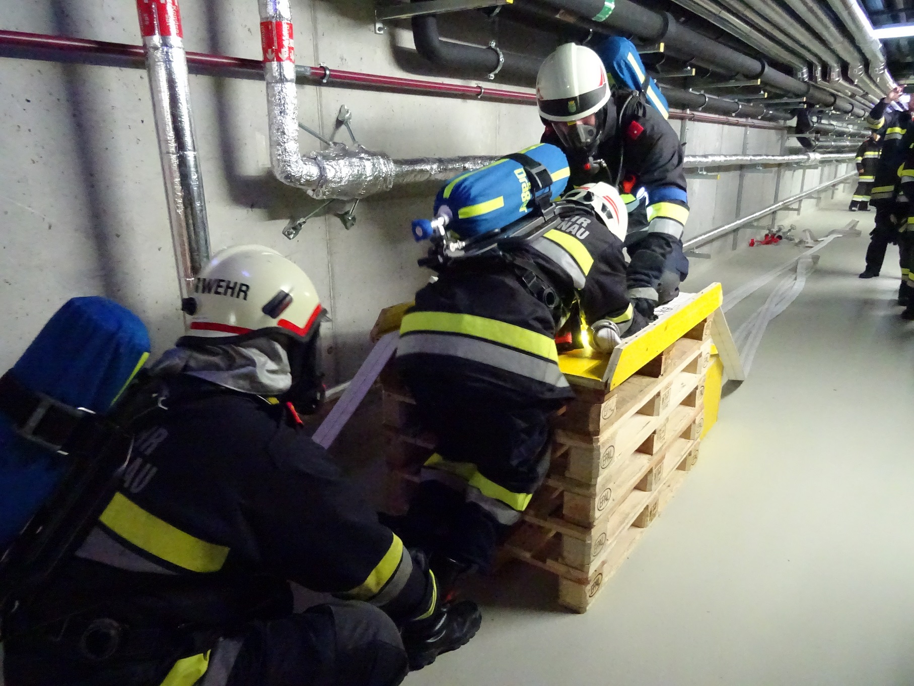 cid 3D1B65F2-43F7-40E4-9173-7F3141642519