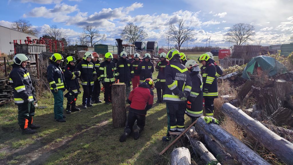 IMG 20231125 110204 verkl