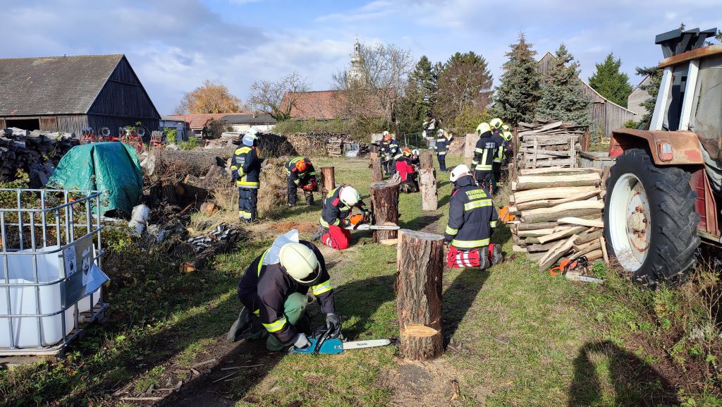 IMG 20231125 112938 verkl