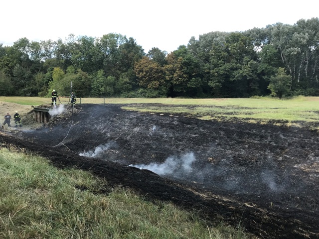 Zatschkowitsch Caroline 20180830 B1-Flurbrand Eckartsau 3 web