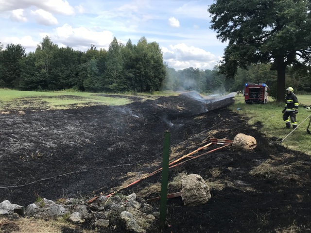 Zatschkowitsch Caroline 20180830 B1-Flurbrand Eckartsau 5 web